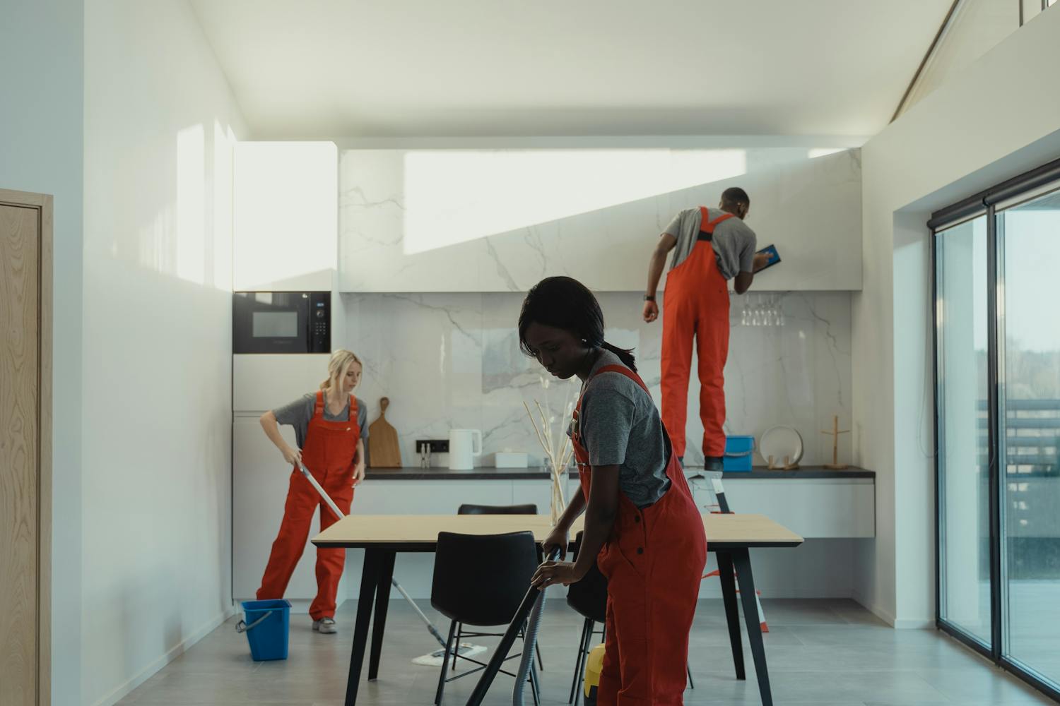 Cel mai bun aspirator de geamuri