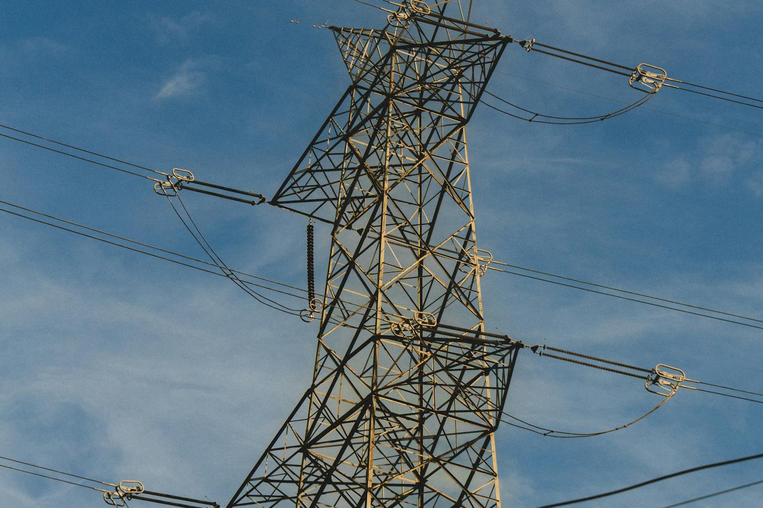 Cel mai bun capsator electric