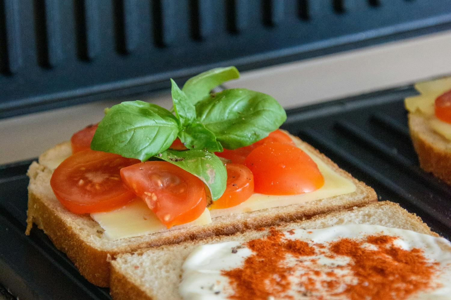 Cel mai bun gratar electric: Ghid complet pentru a alege cel mai bun gratar electric potrivit nevoilor tale